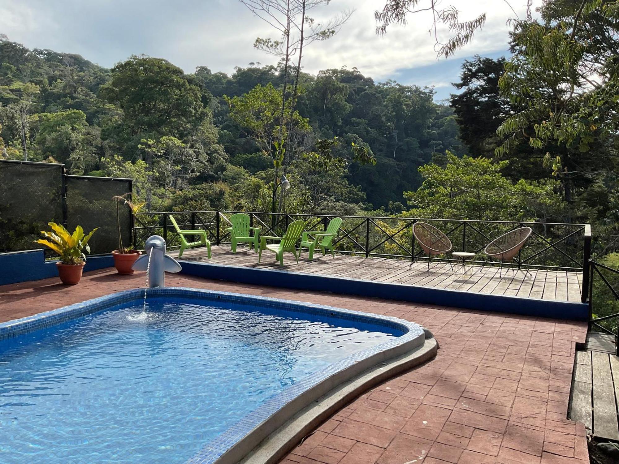 Quinta Los Volcanes 图里亚尔瓦 外观 照片