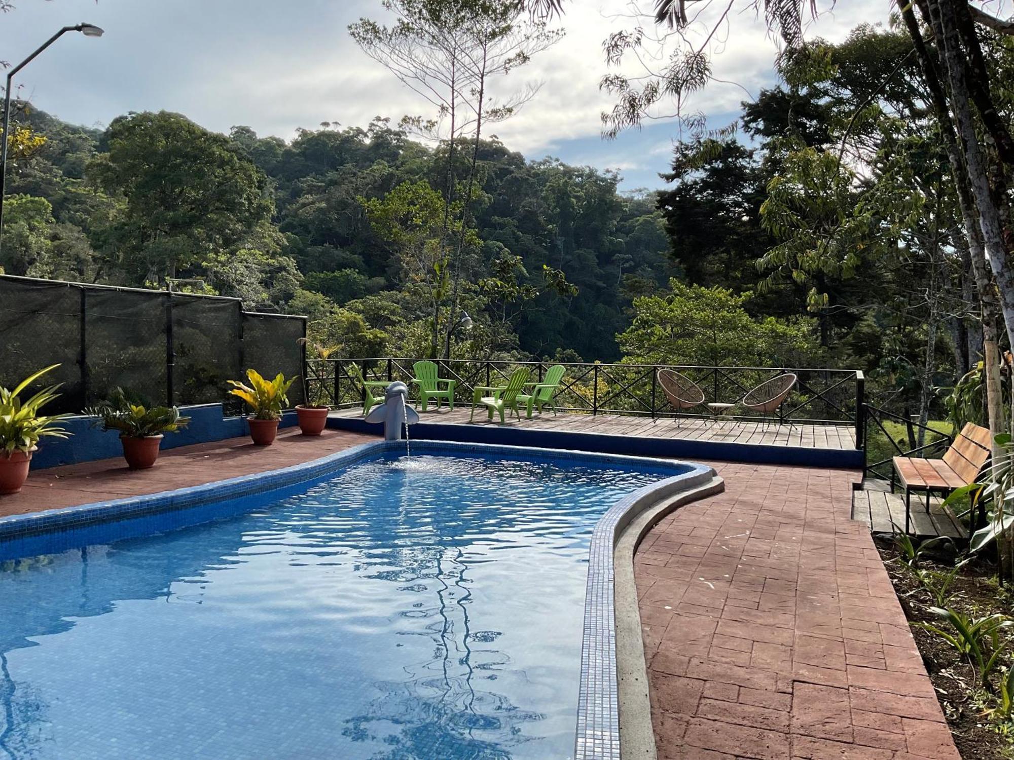 Quinta Los Volcanes 图里亚尔瓦 外观 照片